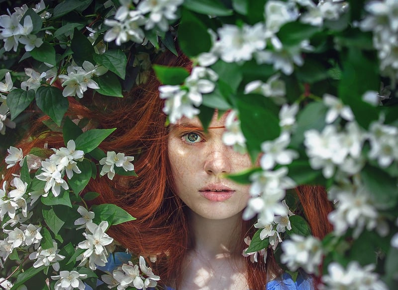 Whimsical Plants