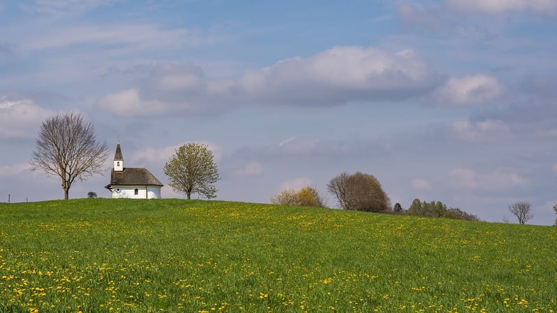 Witchy Meadows