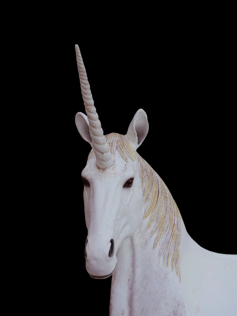 Unicorn Corn